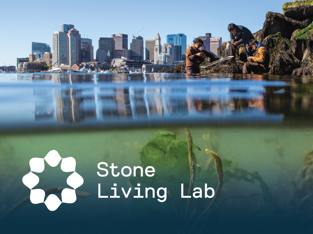 Stone Living Lab social media graphic