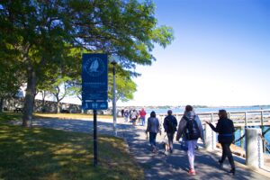 boston harbor wildlife cruise