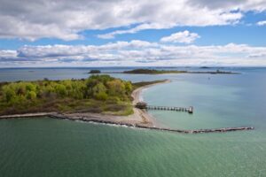 boston harbor wildlife cruise