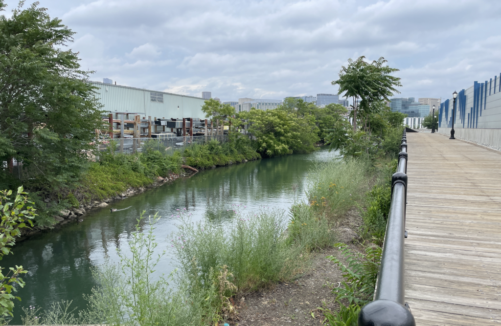 image of existing Harborwalk running next to eversource substation